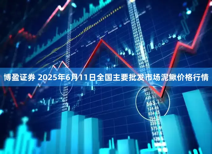 博盈证券 2025年6月11日全国主要批发市场泥鳅价格行情
