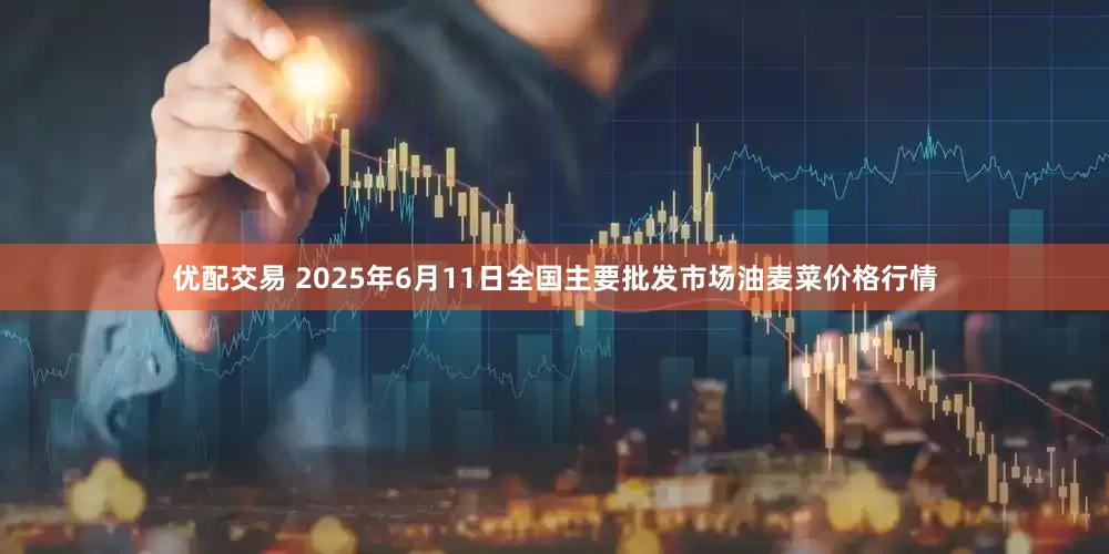 优配交易 2025年6月11日全国主要批发市场油麦菜价格行情