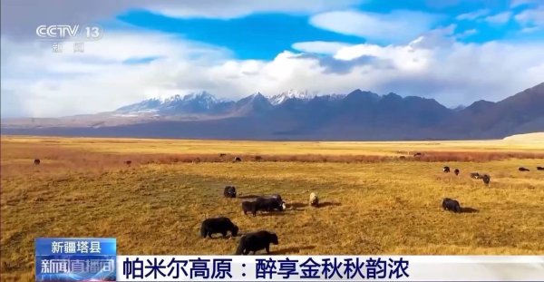 成都赚配网 北方多地最美秋色已“上线” 一起感受浓浓秋韵