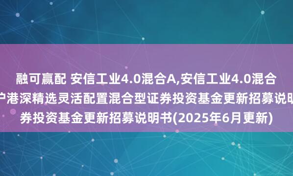 融可赢配 安信工业4.0混合A,安信工业4.0混合C: 安信工业4.0主题沪港深精选灵活配置混合型证券投资基金更新招募说明书(2025年6月更新)